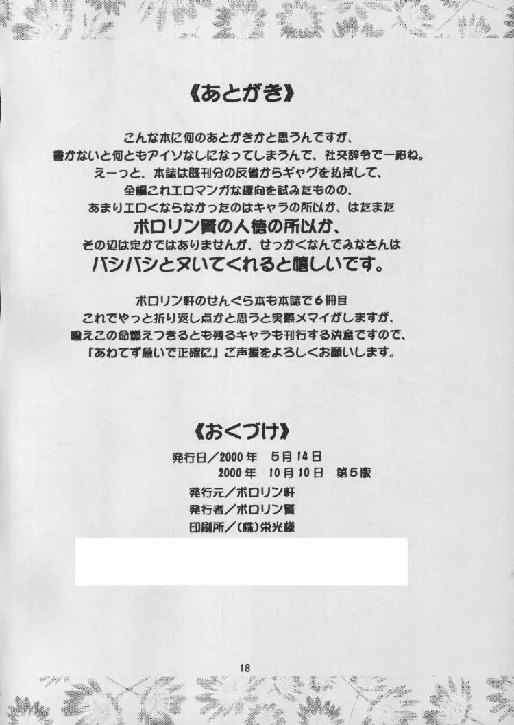 Page 17