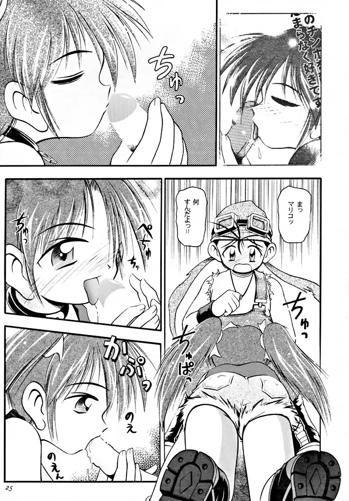 Page 24