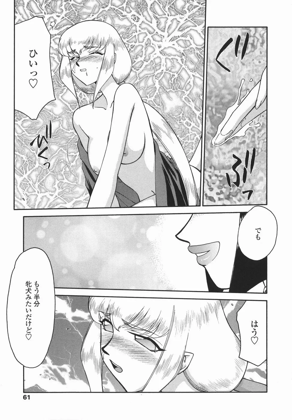 Page 61