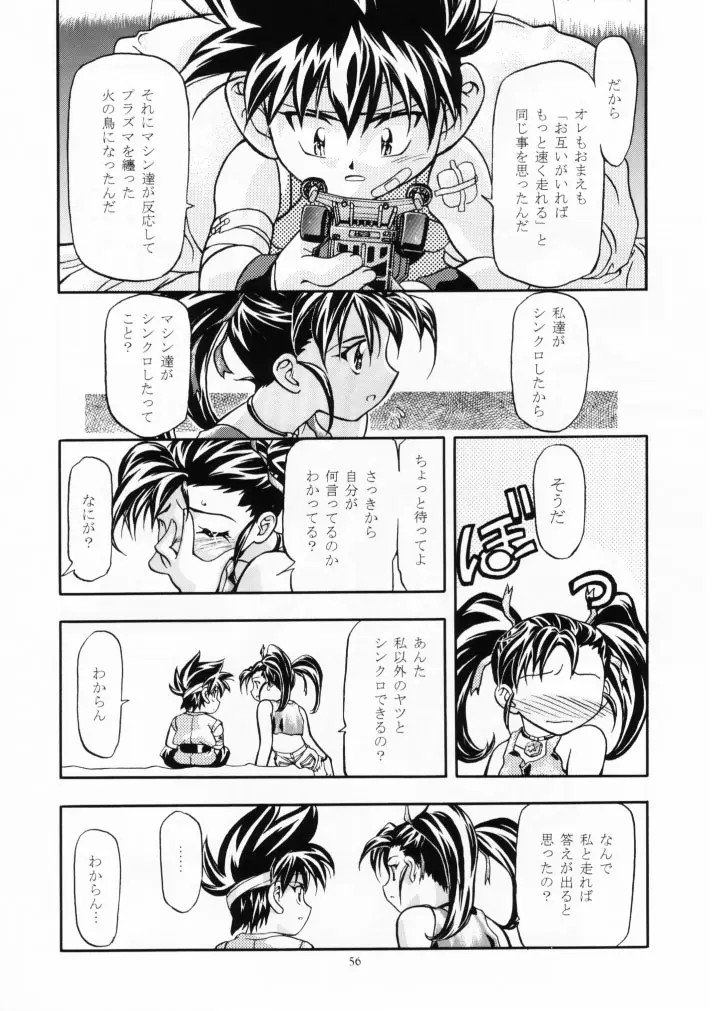 Page 55
