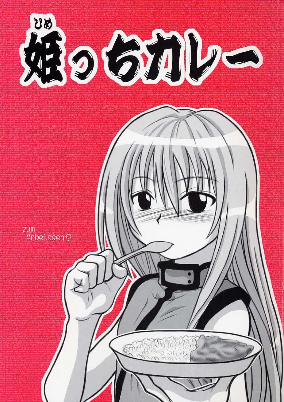 [Daitoutaku (Nabeshima Mike)] Himecchi Curry (Black Cat)