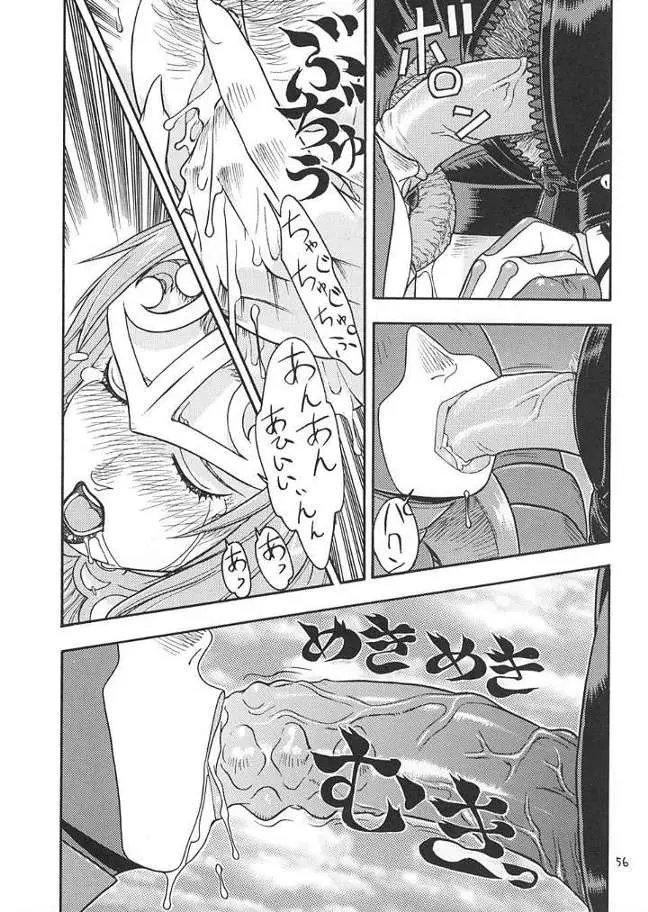 Page 55