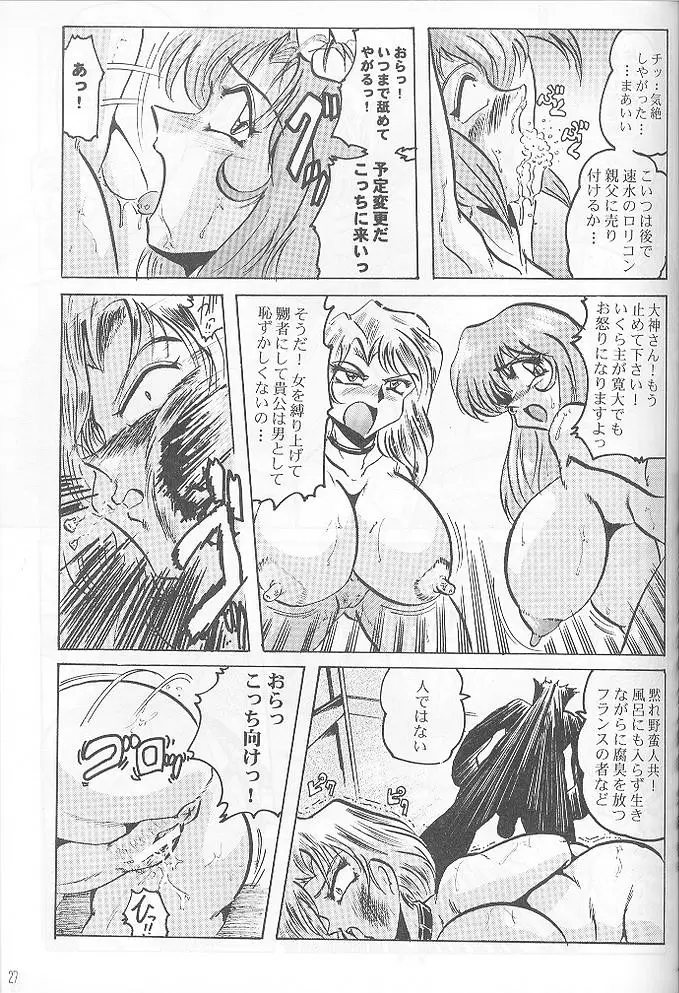 Page 27