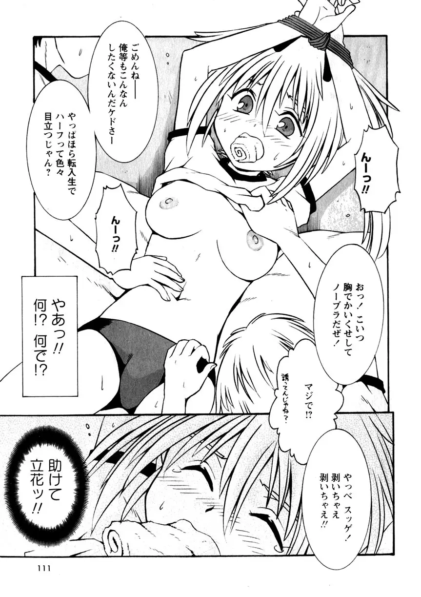 Page 113