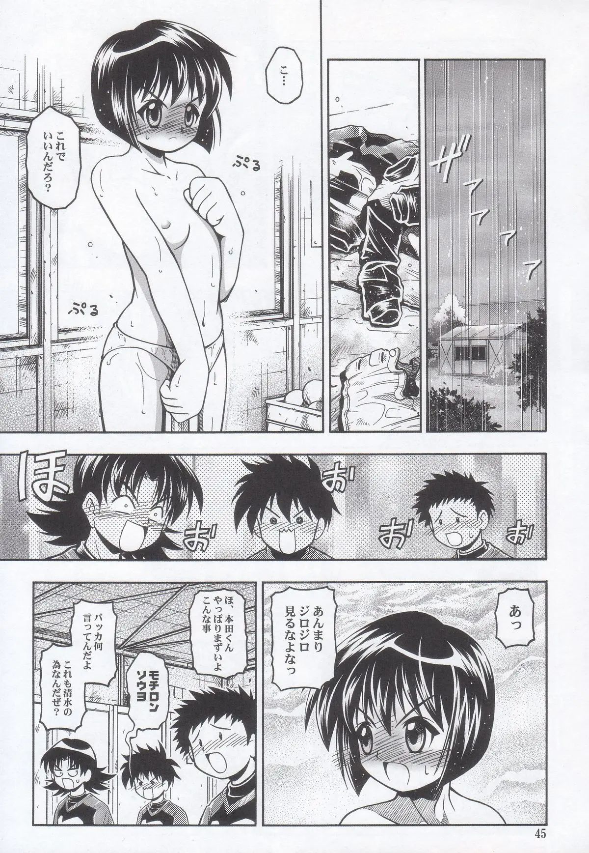 Page 45