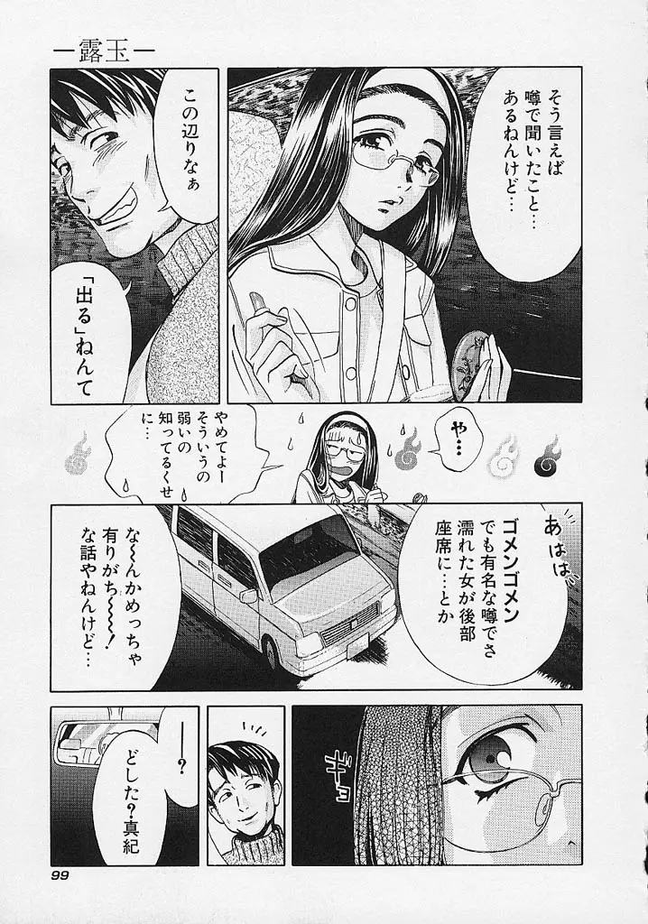 Page 100