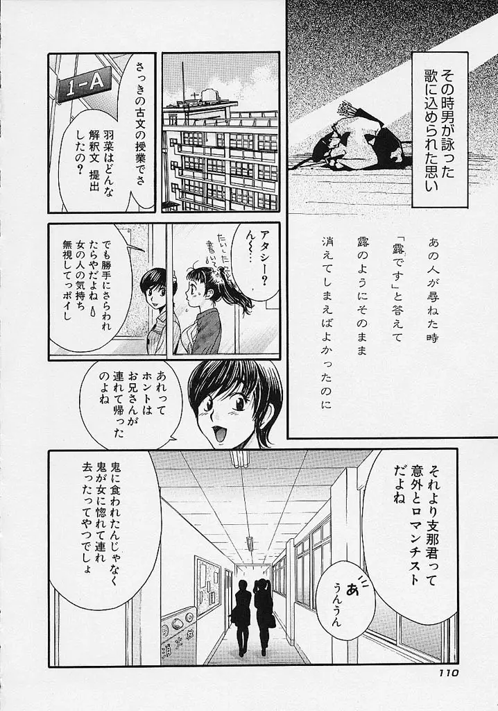 Page 111