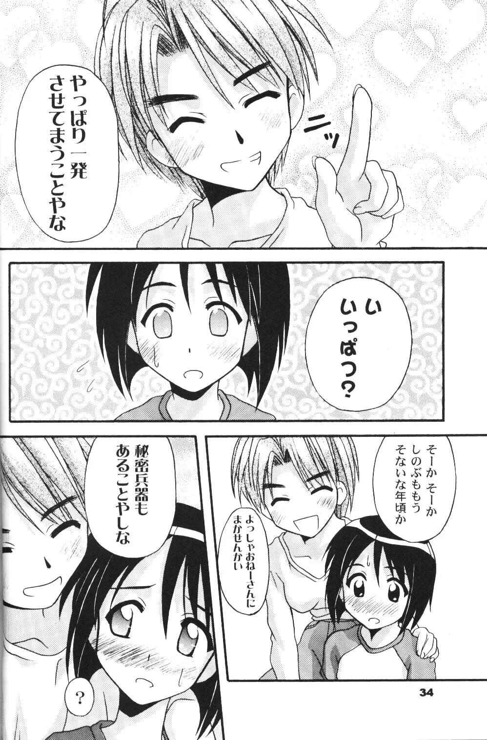 Page 33