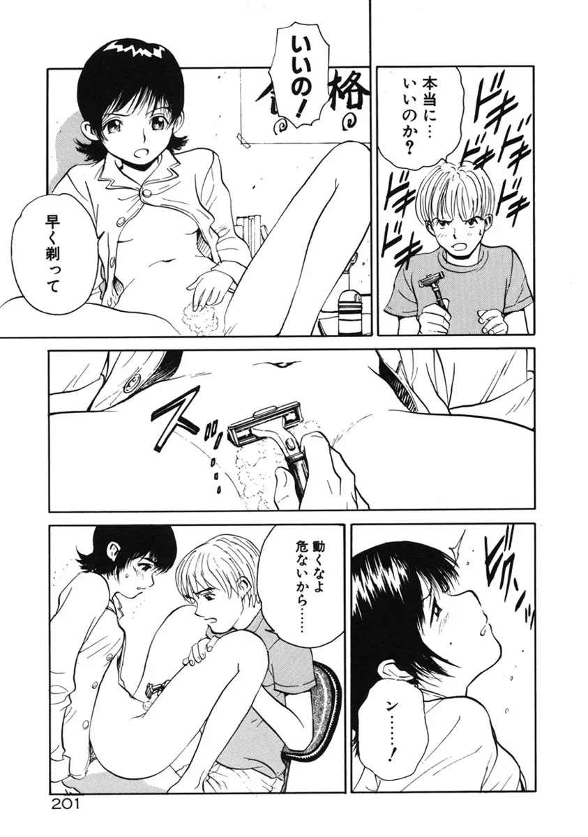 Page 204