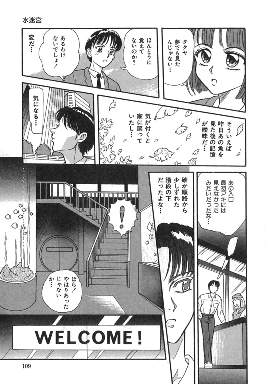 Page 111