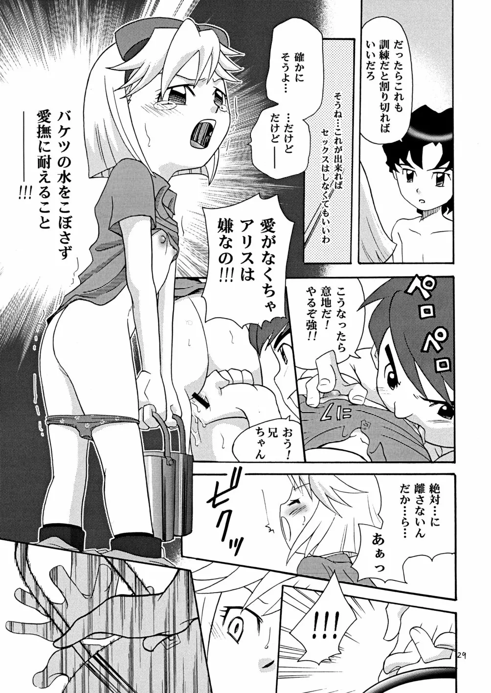 Page 29