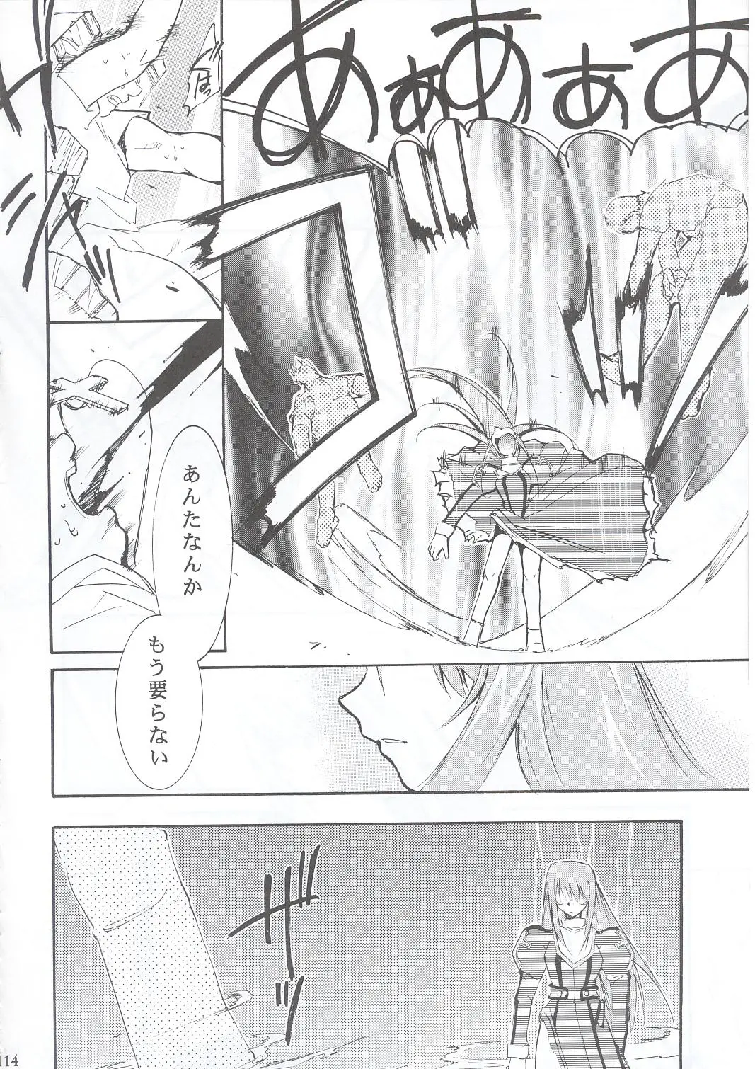 Page 113