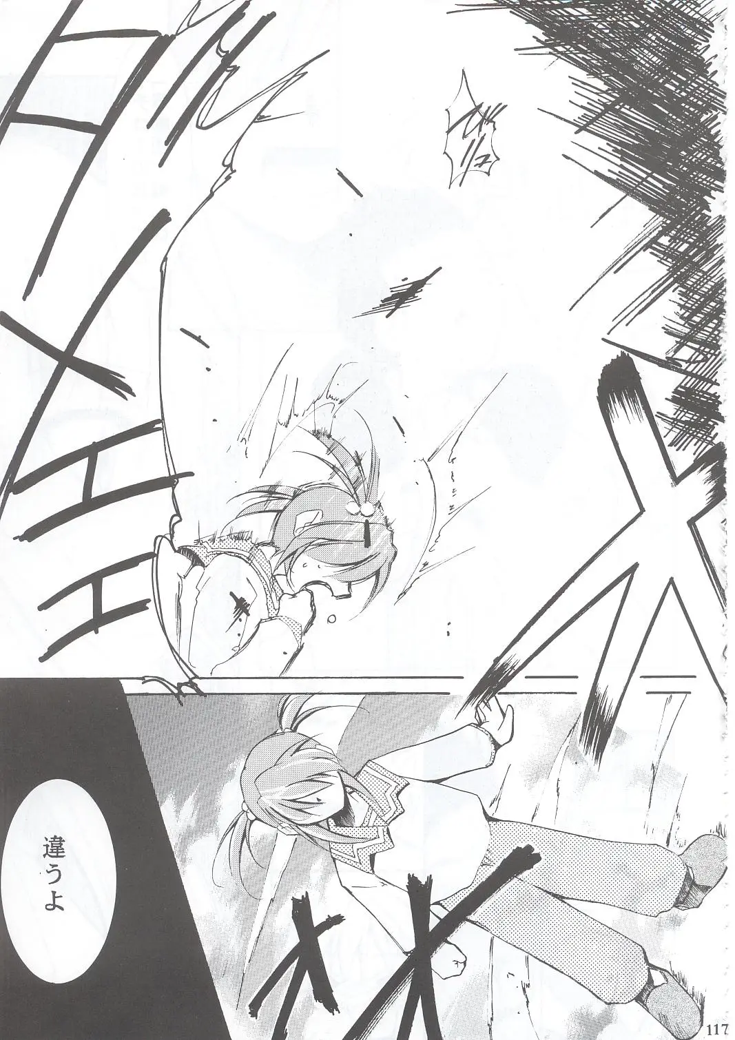 Page 116