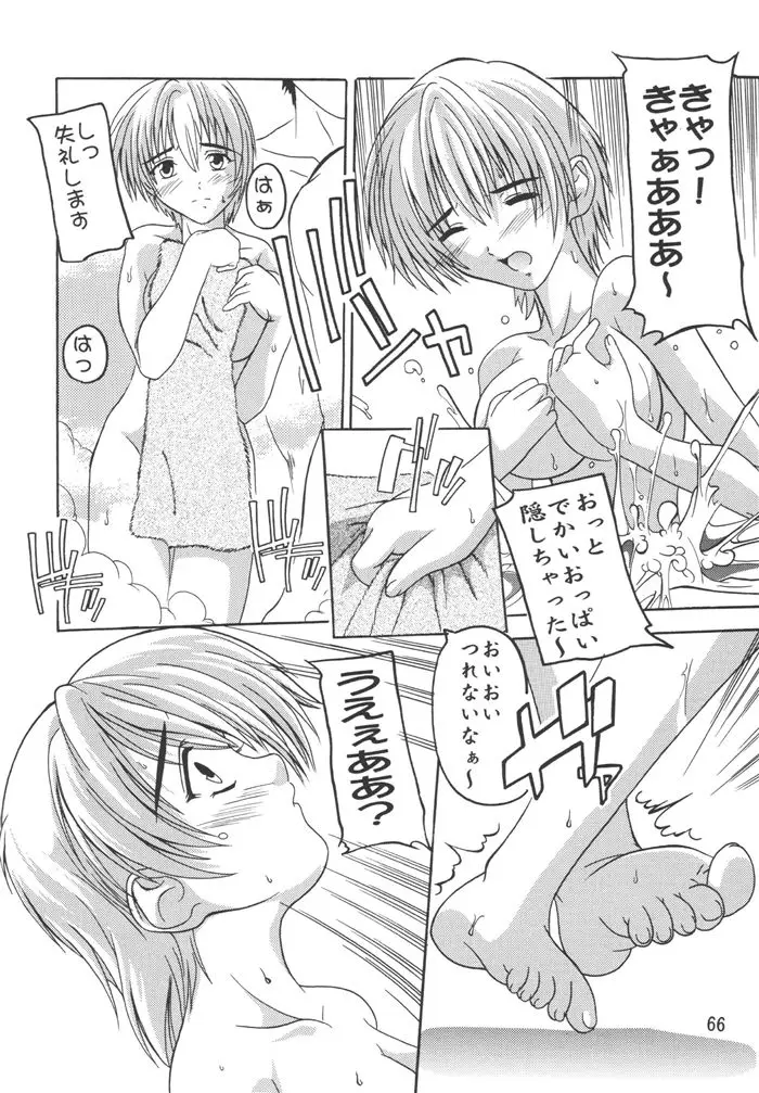 Page 66