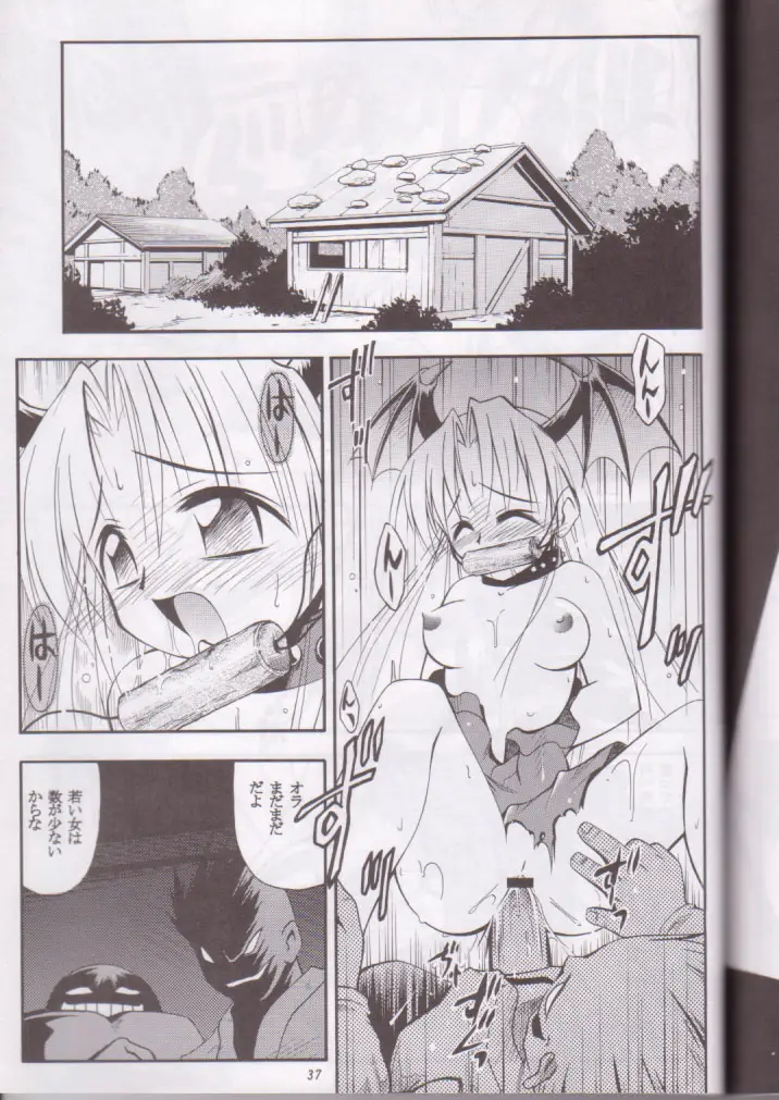 Page 37