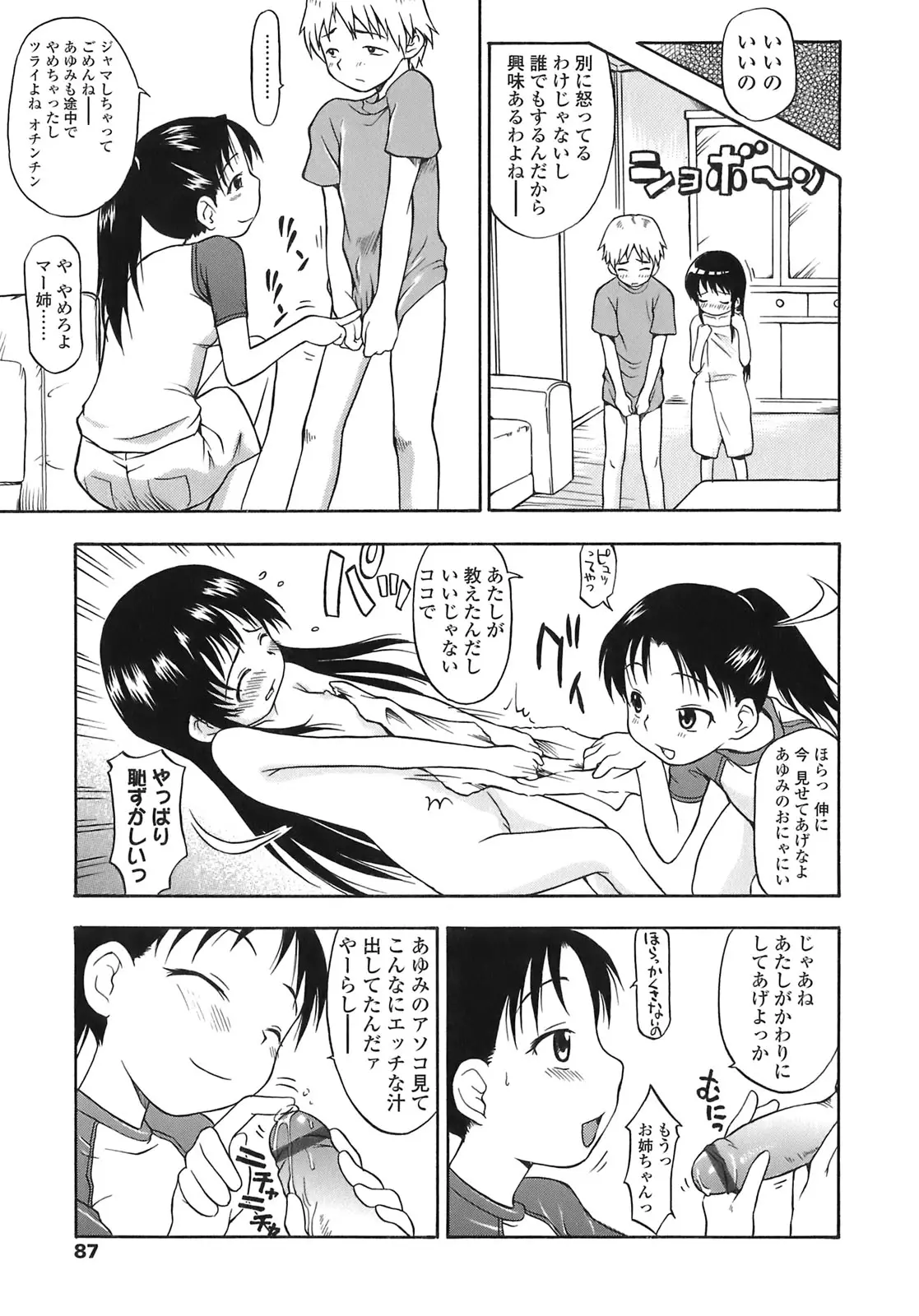 Page 87