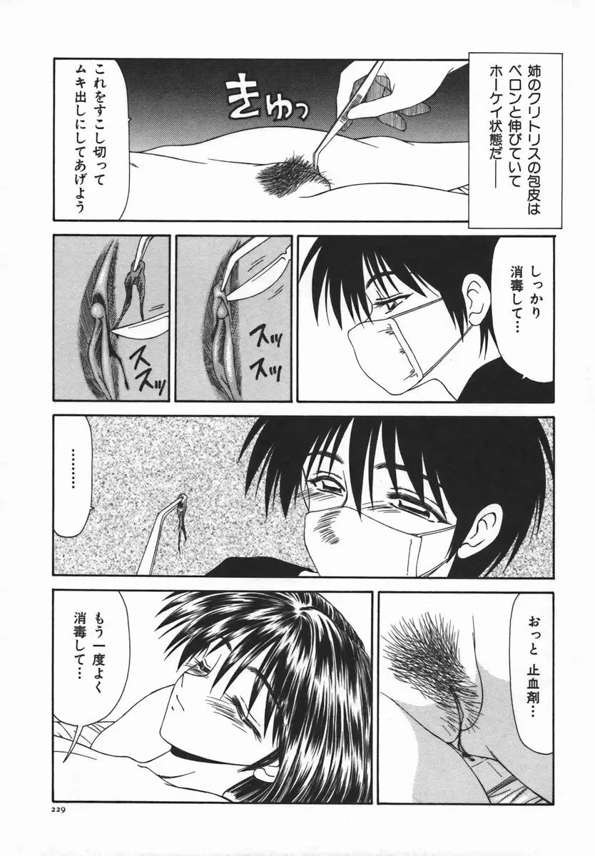 Page 228