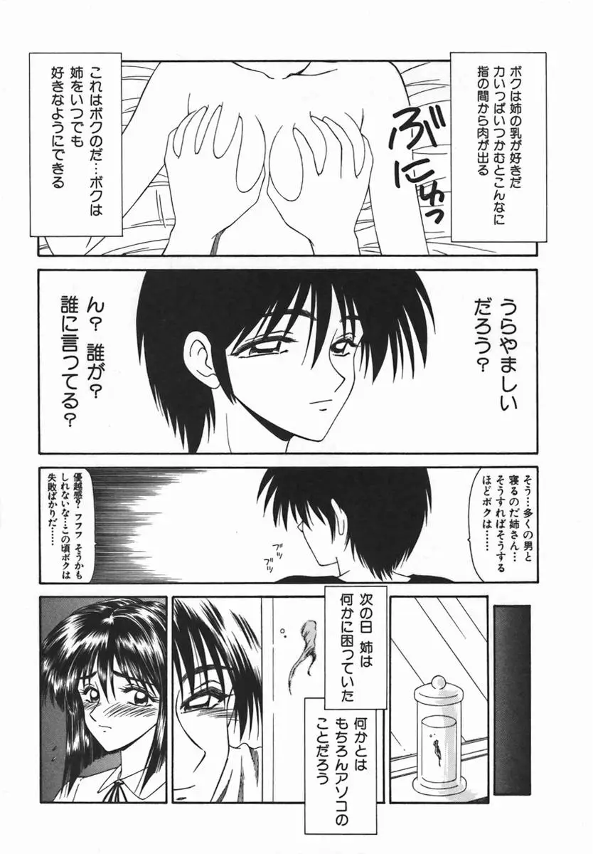 Page 229