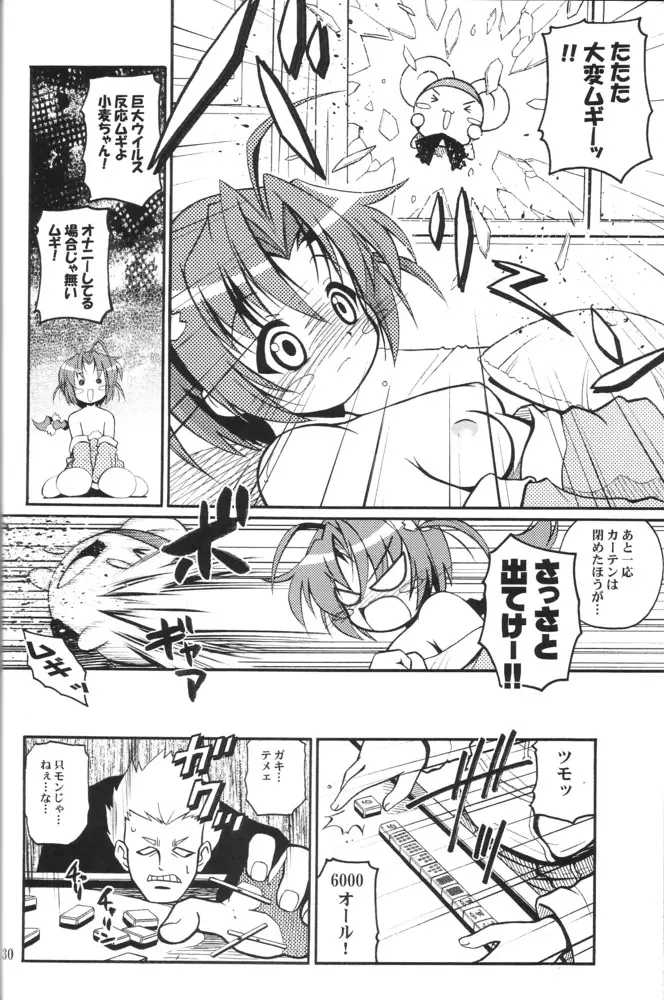 Page 29