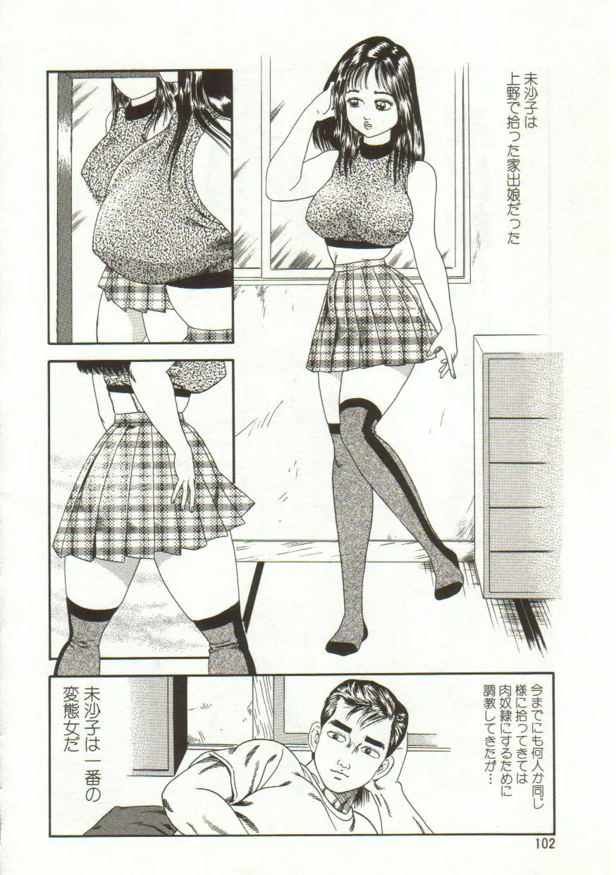 Page 102