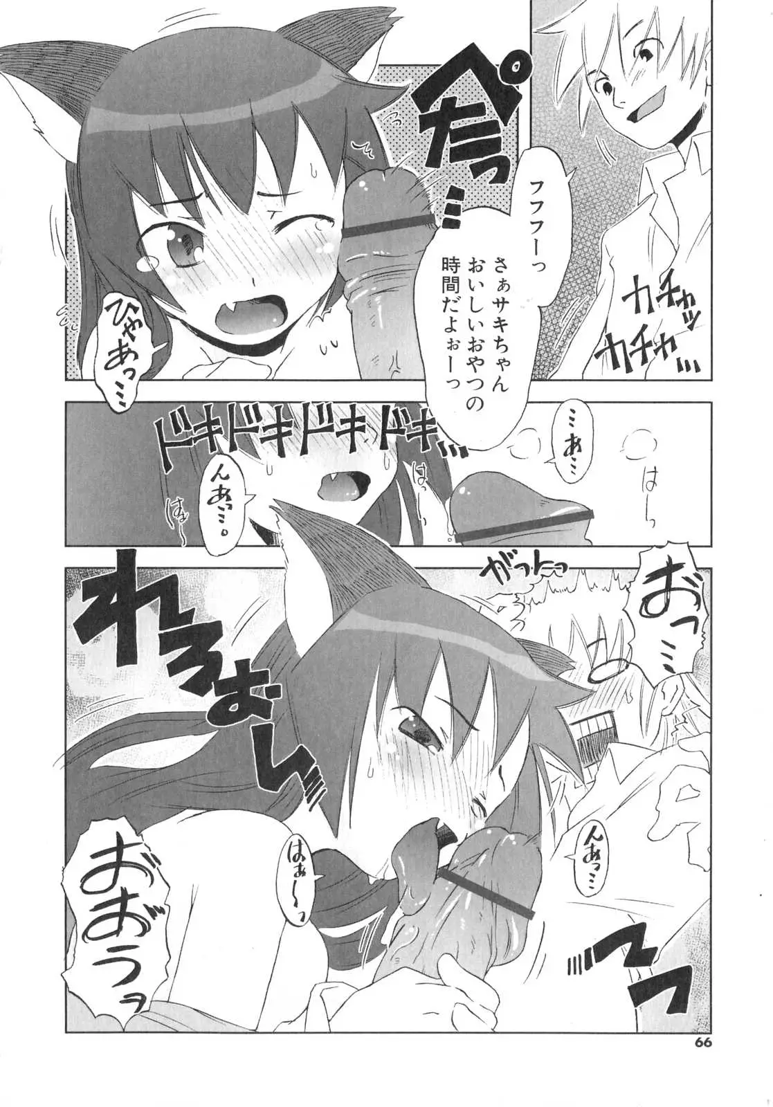 Page 67