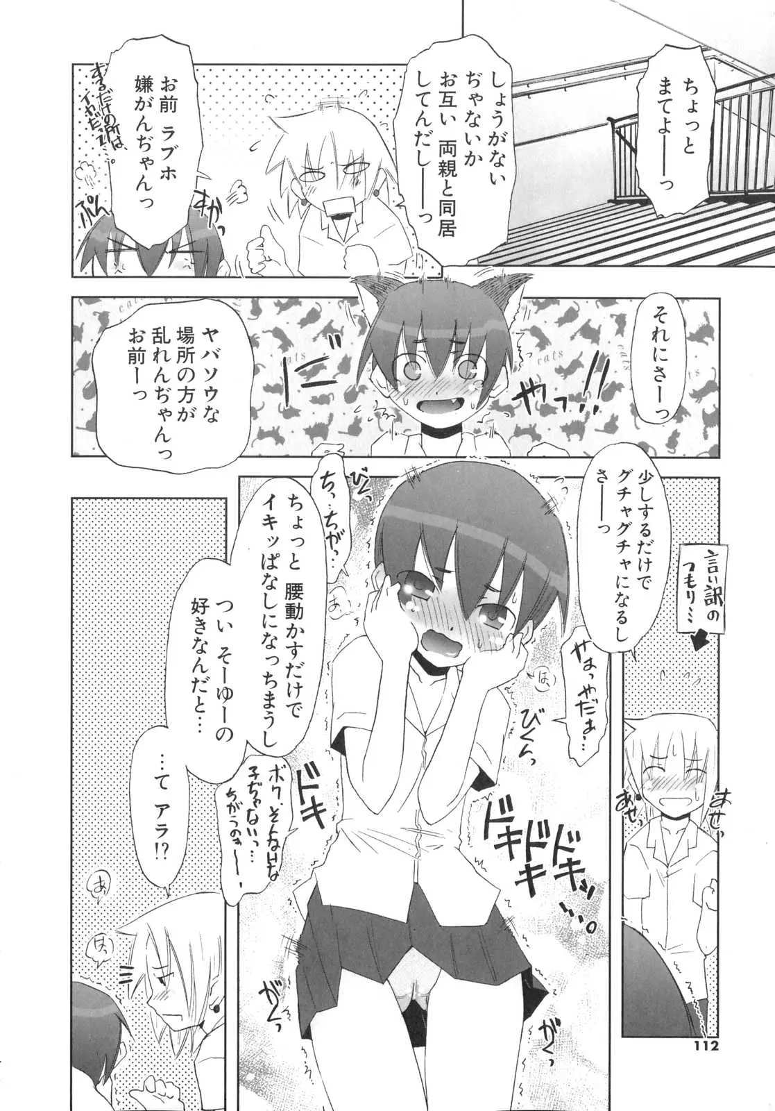 Page 113