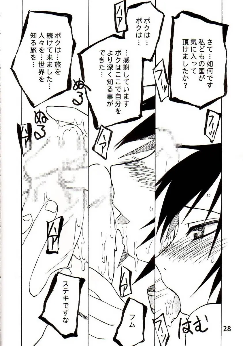 Page 27