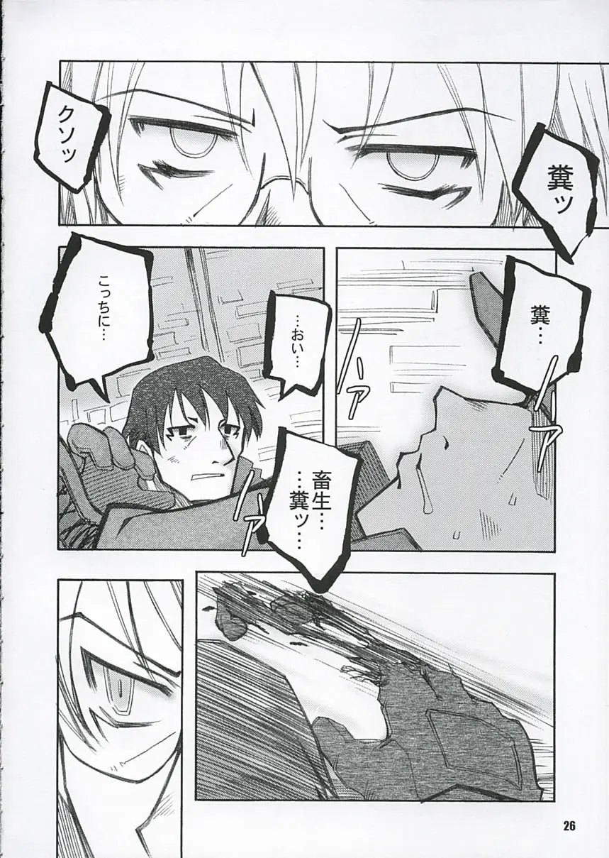 Page 25