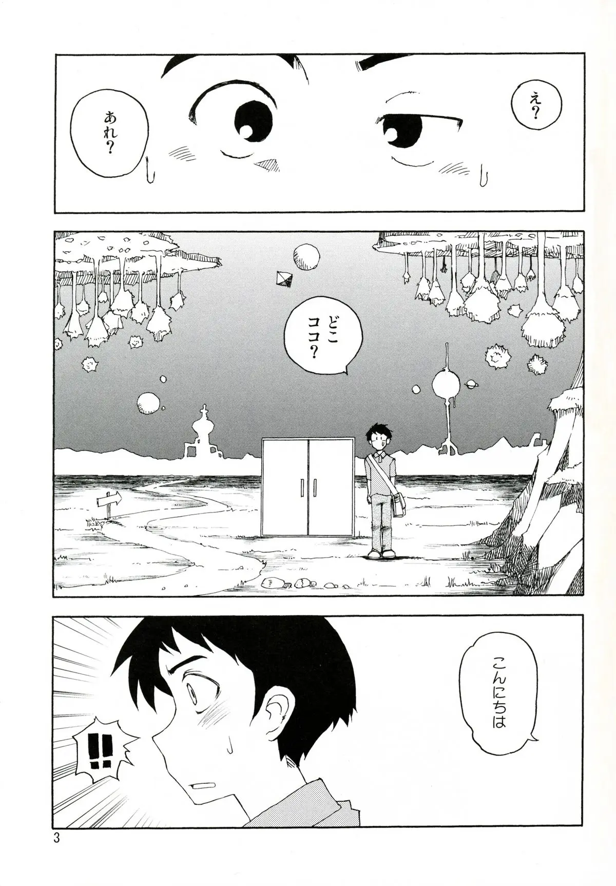 Page 3