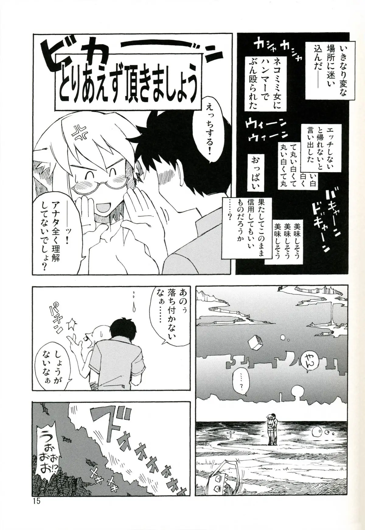 Page 15