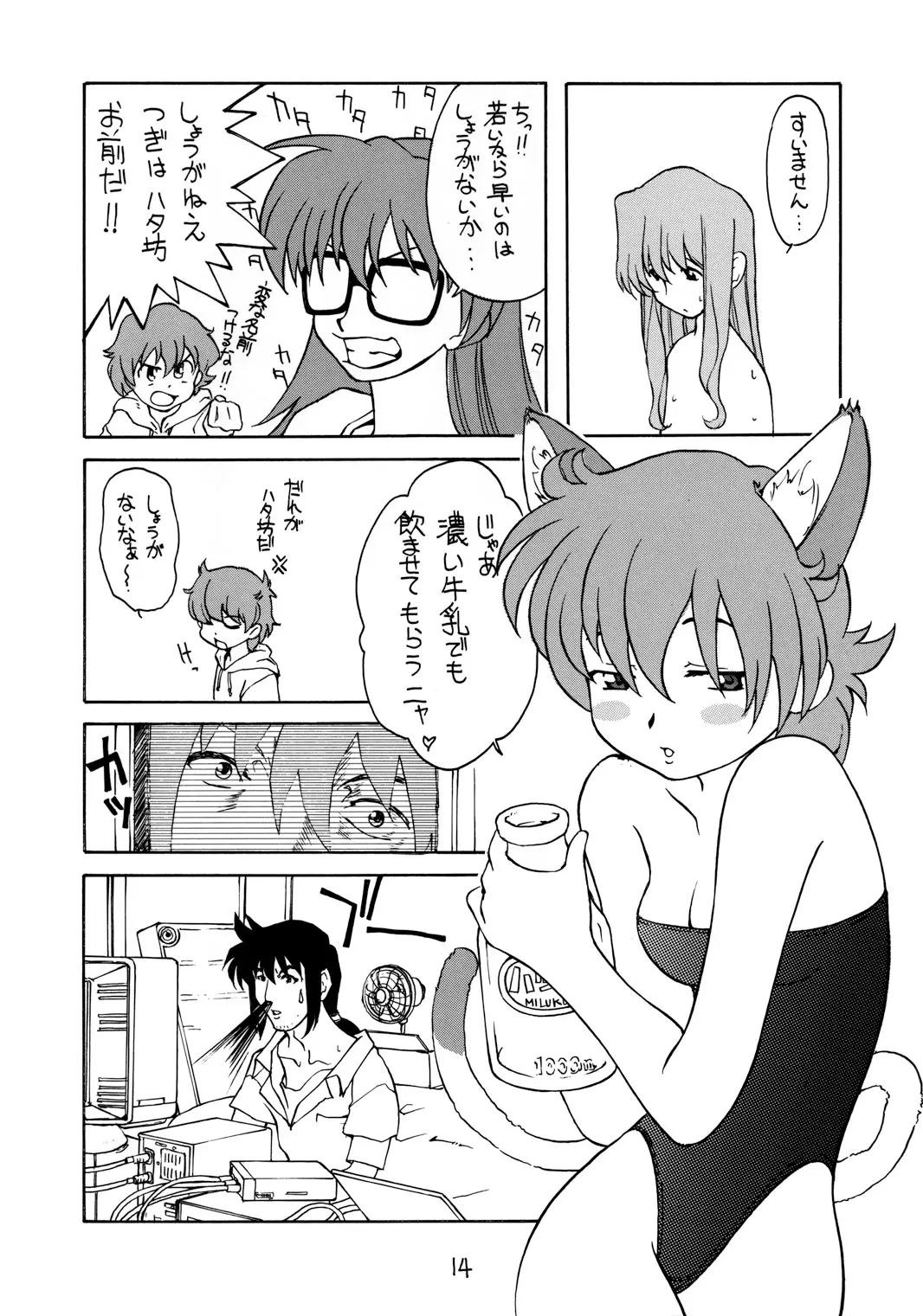 Page 14