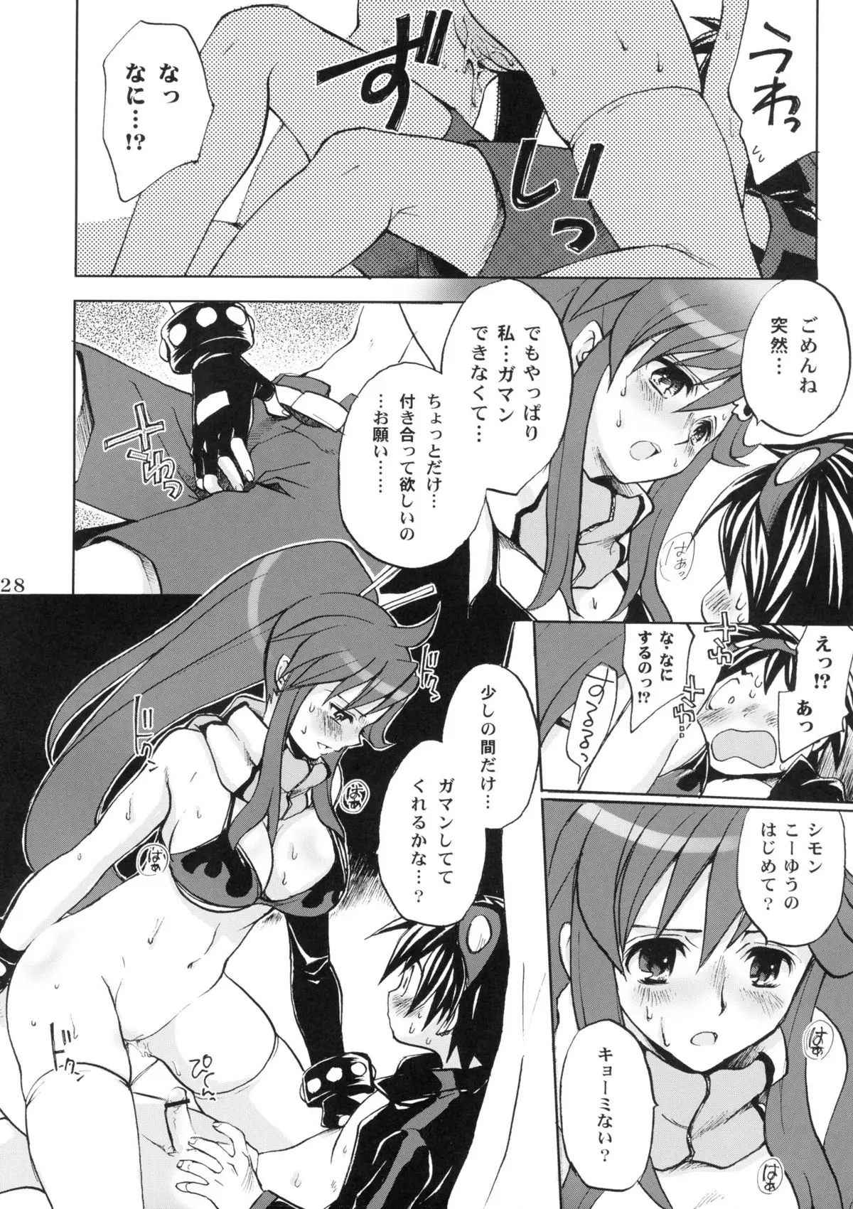 Page 27