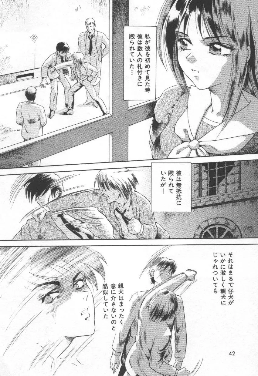Page 42