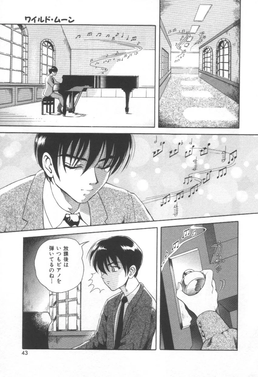 Page 43