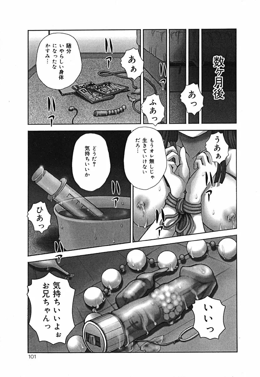 Page 101