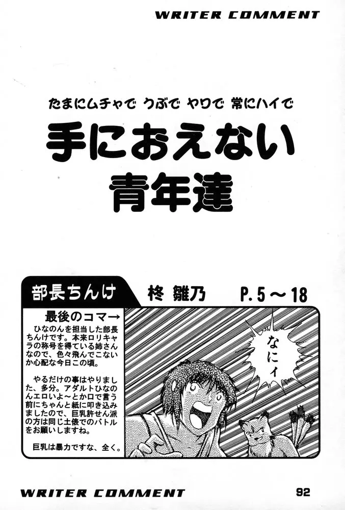 Page 91