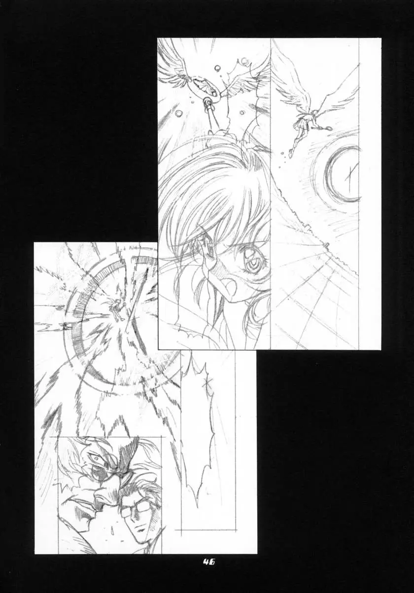 Page 46