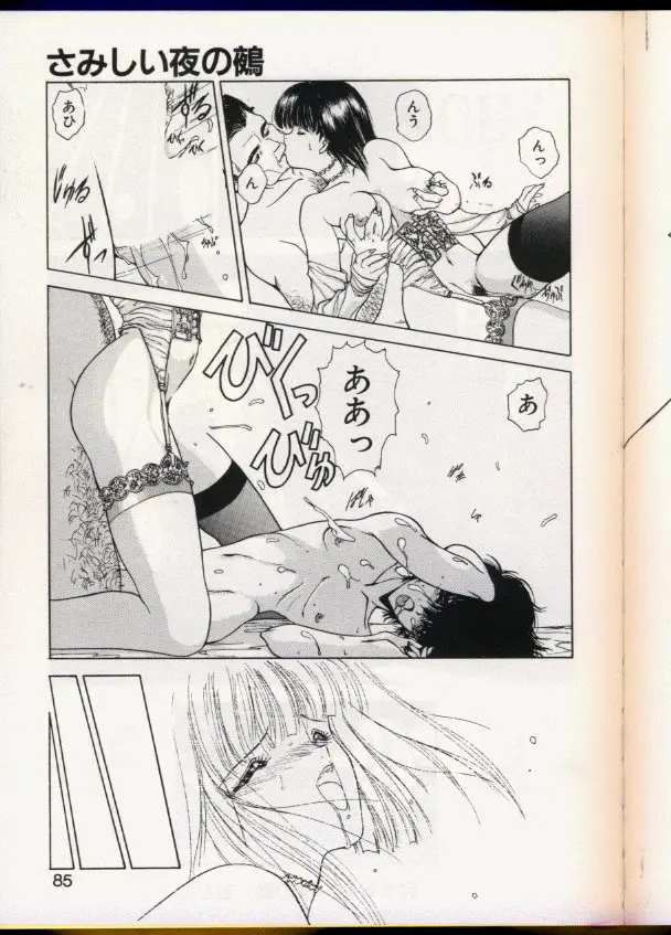 Page 81