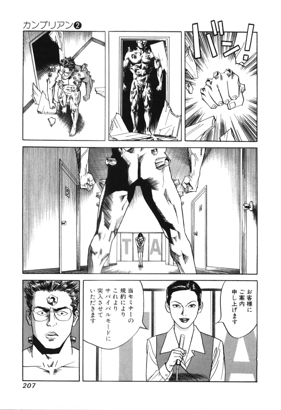 Page 207