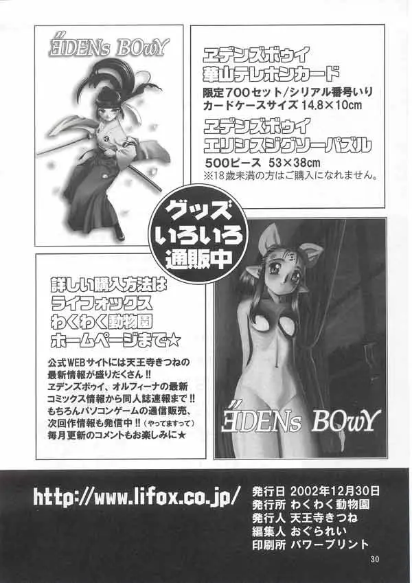Page 29