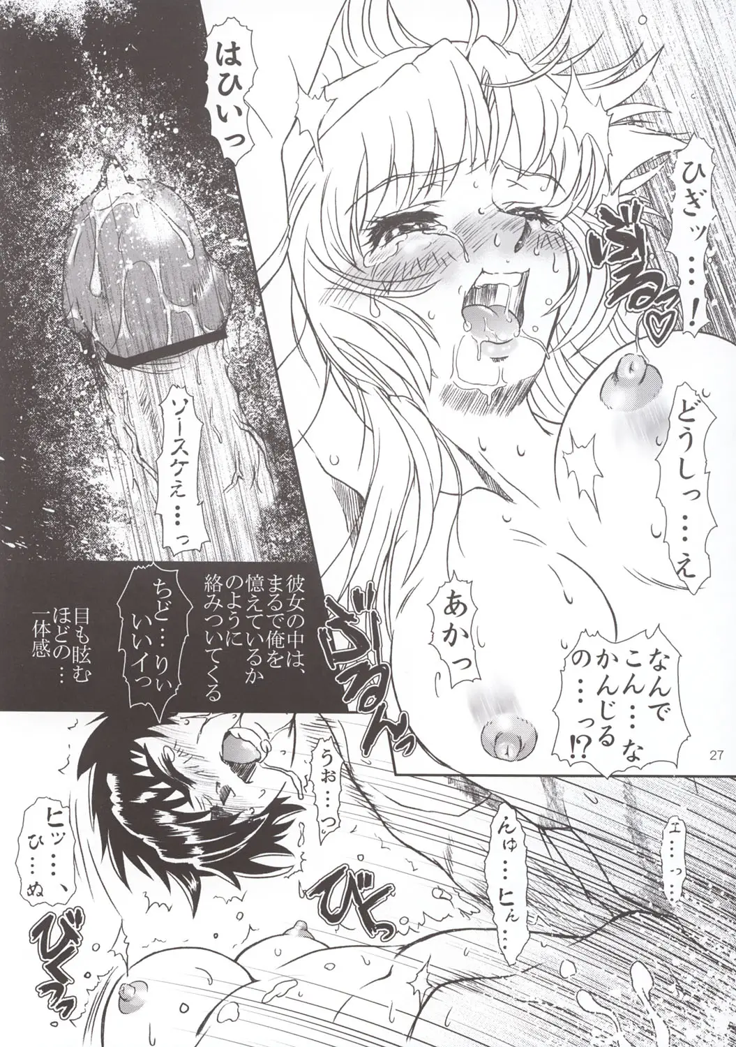 Page 27