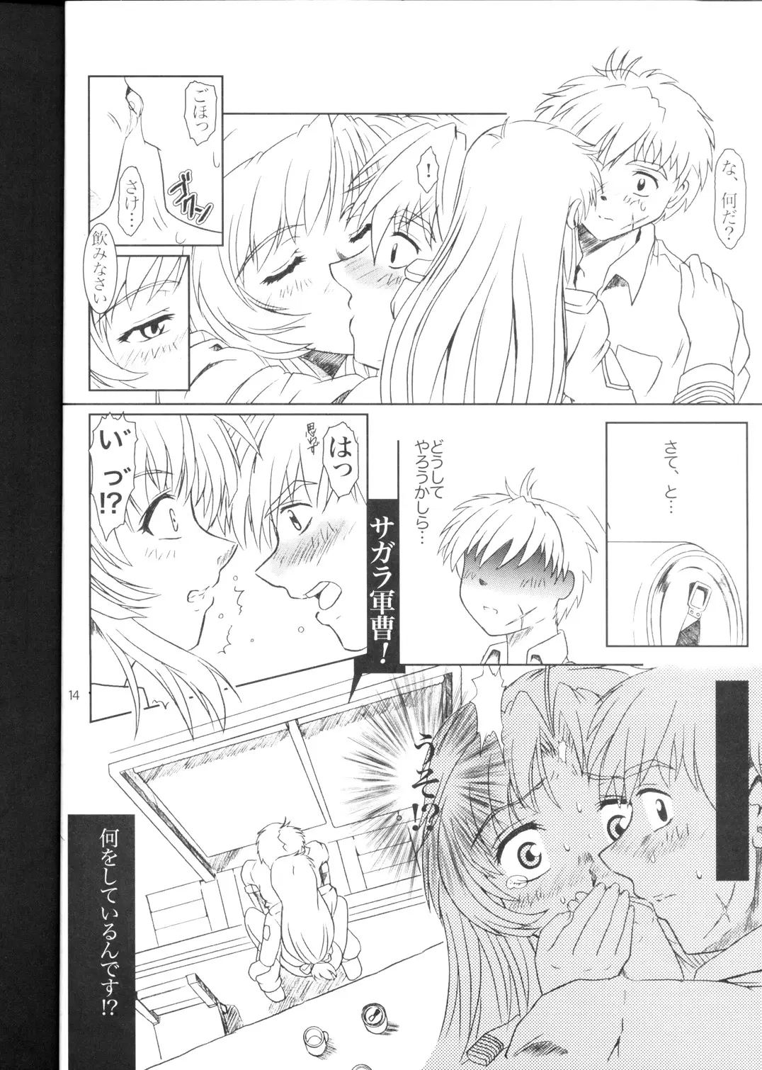 Page 14