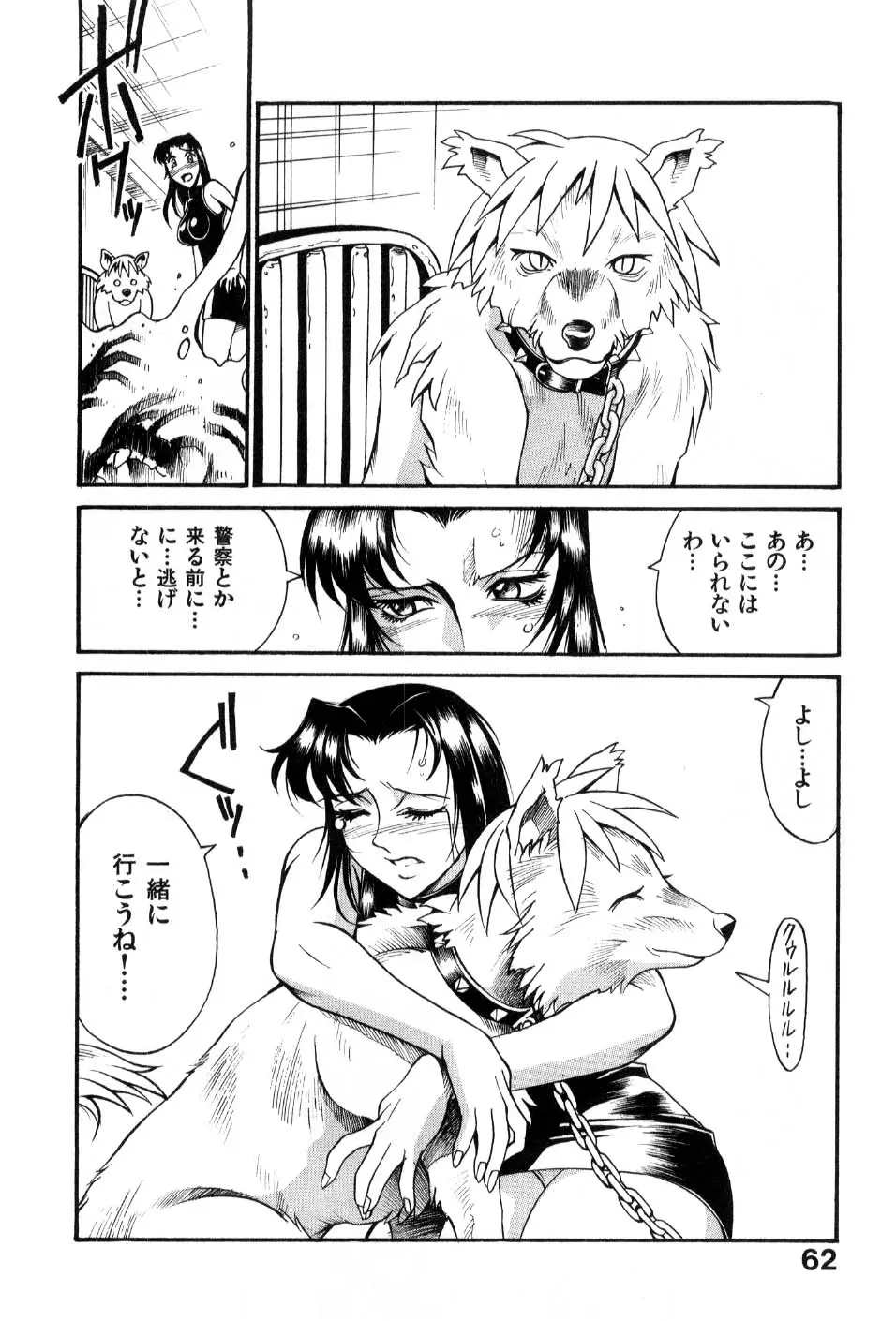 Page 64