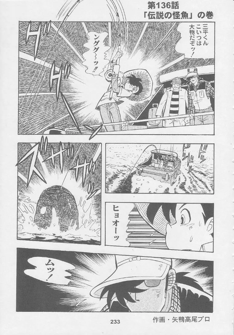 Page 233