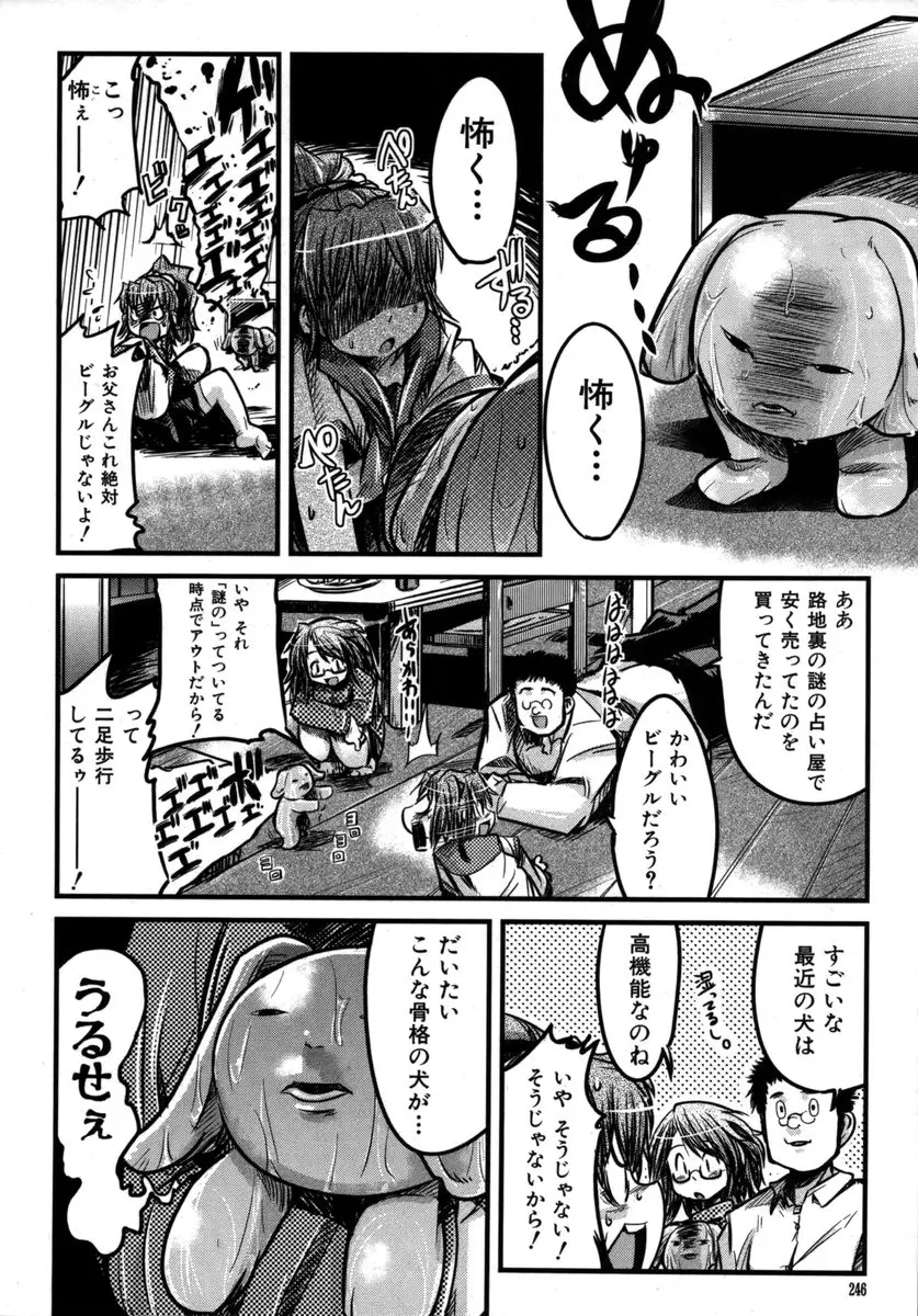 Page 246