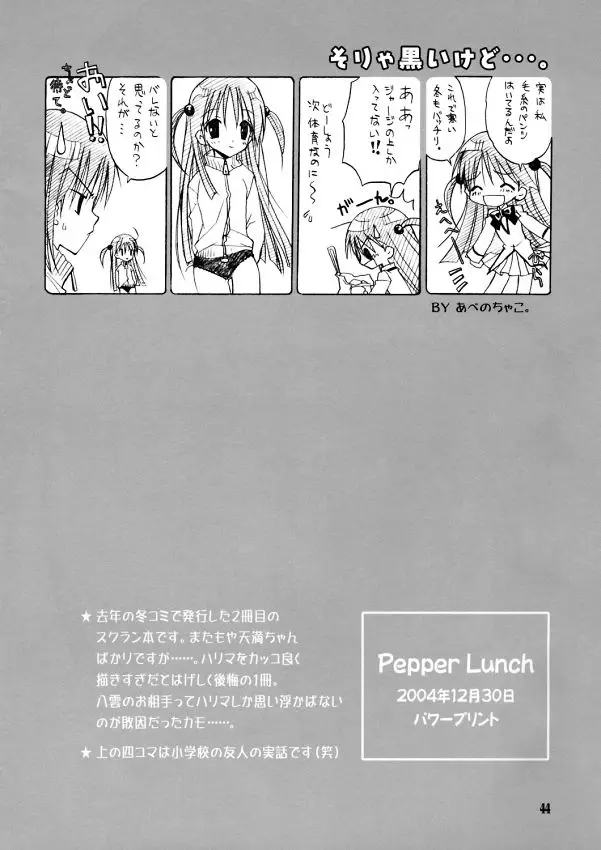 Page 43