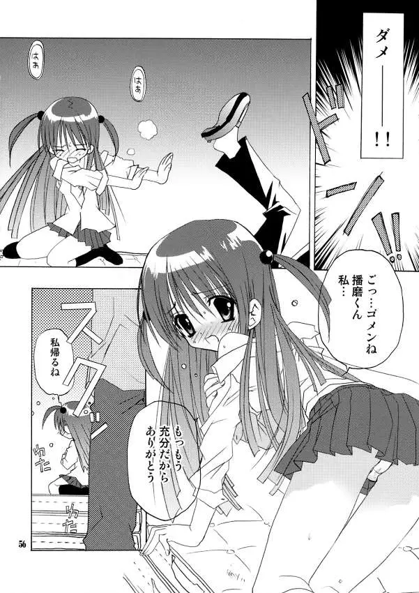 Page 55