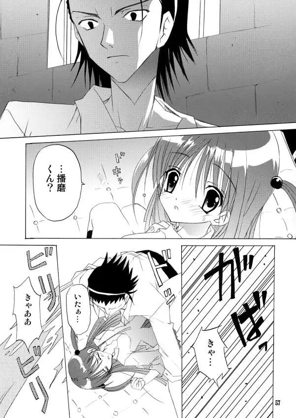Page 56