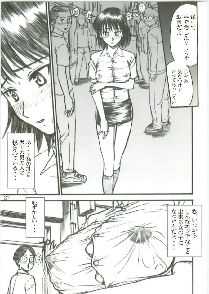 Page 27
