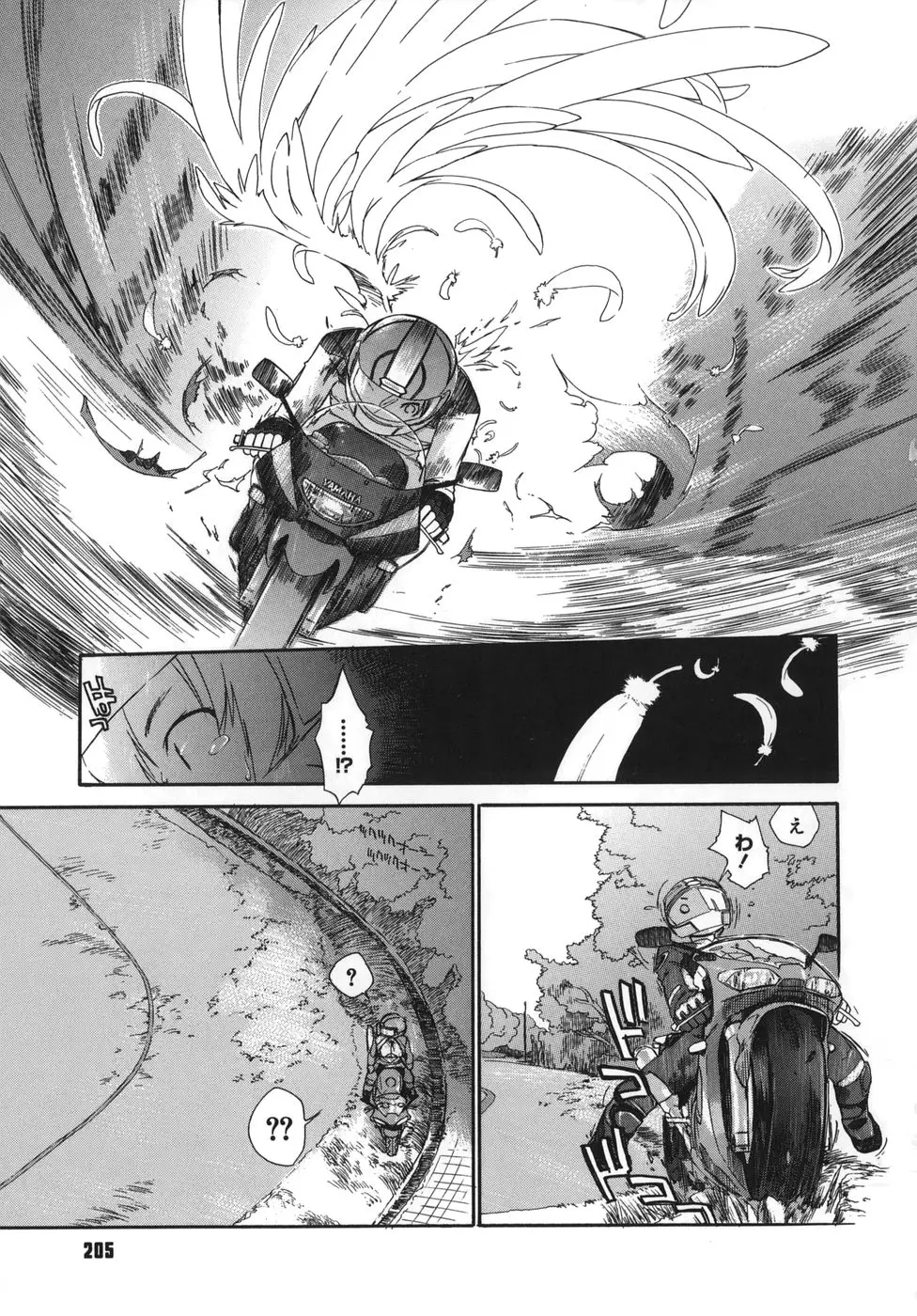 Page 205